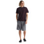 Pánske tričko Icebreaker Mens Wave SS Tee Stripe