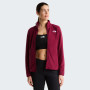 Dámska funkčná mikina The North Face W Glacier Fleece Jacket