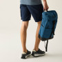Pánske kraťasy Regatta Bendrick Shorts