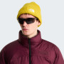 Čiapka The North Face Salty Lined Beanie