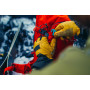 Batoh Gregory Targhee 32 3.0