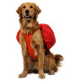 Postroj pre psa Ruffwear Palisades™ Pack