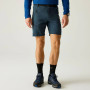 Pánske kraťasy Regatta Xert Stretch Shorts