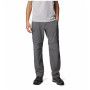 Pánske nohavice Columbia Silver Ridge™ Utility Convertible Pant