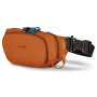 Ľadvinka Pacsafe ECO waist pack