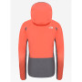 Dámska bunda The North Face Apex Flex GTX 2.0