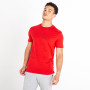 Pánske tričko Dare 2b Relic Tee