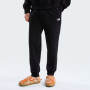 Pánske tepláky The North Face M Evolution Simple Dome Regular Jogger