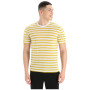 Pánske tričko Icebreaker Drayden SS Tee Stripe