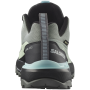 Dámske topánky Salomon X Ultra 360 Gore-Tex