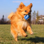 Hračka pre psa Nerf Dog Small Tennis Balls 3 pcs