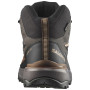 Pánske topánky Salomon X Ultra 360 Mid Gore-Tex