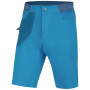 Pánske šortky Direct Alpine Campus Short