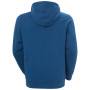 Pánska mikina Helly Hansen HH Logo Hoodie