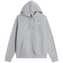 Pánska mikina The North Face M Evolution Simple Dome Regular Hoodie sivá TNF Pale Grey Heather