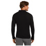 Pánske funkčné tričko Icebreaker M 175 Everyday LS Half Zip