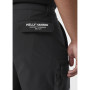 Pánske kraťasy Helly Hansen Move Qd Shorts