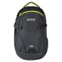 Mestský batoh Regatta Paladen 25l sivá Ebony/NeonSp (2C5)