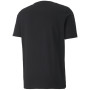 Pánske tričko Puma Graphic Tee