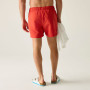 Pánske plavky Regatta Mawson Swim Shorts III