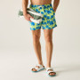 Pánske plavky Regatta Loras Swim Short