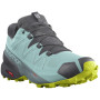 Dámske topánky Salomon Speedcross 5 GTX W