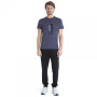 Pánske funkčné tričko Icebreaker Men Merino Core SS Tee Waschbar Wandering