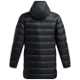 Pánska bunda Under Armour Legend Down Parka