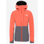 Dámska bunda The North Face Apex Flex GTX 2.0