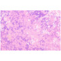 Detské nohavice Wouki Aiki Dusty violet