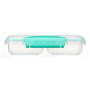 Box na desiatu Sistema Small Split Accents 350ml