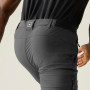 Pánske nohavice Regatta Anti-Insect Travel Light Z/O Trousers