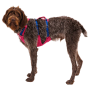 Postroj pre psa Ruffwear Flagline™ Harness