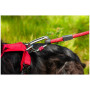 Vôdzka pre psa Mountain Paws Rope Dog Lead