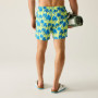 Pánske plavky Regatta Loras Swim Short
