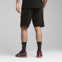 Pánske kraťasy Puma Ess 2 Color Logo Shorts