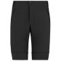 Pánske nohavice Regatta Mountain Z/O Trousers