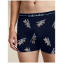 Pánske funkčné boxerky Icebreaker Men M 150 Anatomica Boxers BearTourAOP