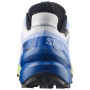 Pánske bežecké topánky Salomon Speedcross 6 GTX Icon