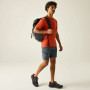 Pánske kraťasy Regatta Xert Stretch Shorts
