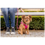 Vôdzka pre psa Curli Stretch Comfort Leash