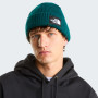 Čiapka The North Face Salty Lined Beanie