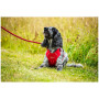 Postroj pre psa Mountain Paws Dog Harness