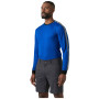 Pánske funkčné tričko Helly Hansen HH Lifa Stripe Crew