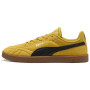 Halovky Puma Club II Indoor Esd