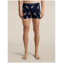 Pánske funkčné boxerky Icebreaker Men M 150 Anatomica Boxers BearTourAOP