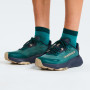 Pánske bežecké topánky The North Face M Altamesa 300 V2