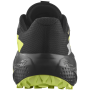 Pánske bežecké topánky Salomon Alphaglide Gore-Tex