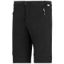 Pánske nohavice Regatta Mountain Z/O Trousers