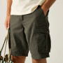 Pánske kraťasy Regatta Shorebay Shorts II